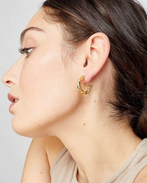 Bamboo Earrings